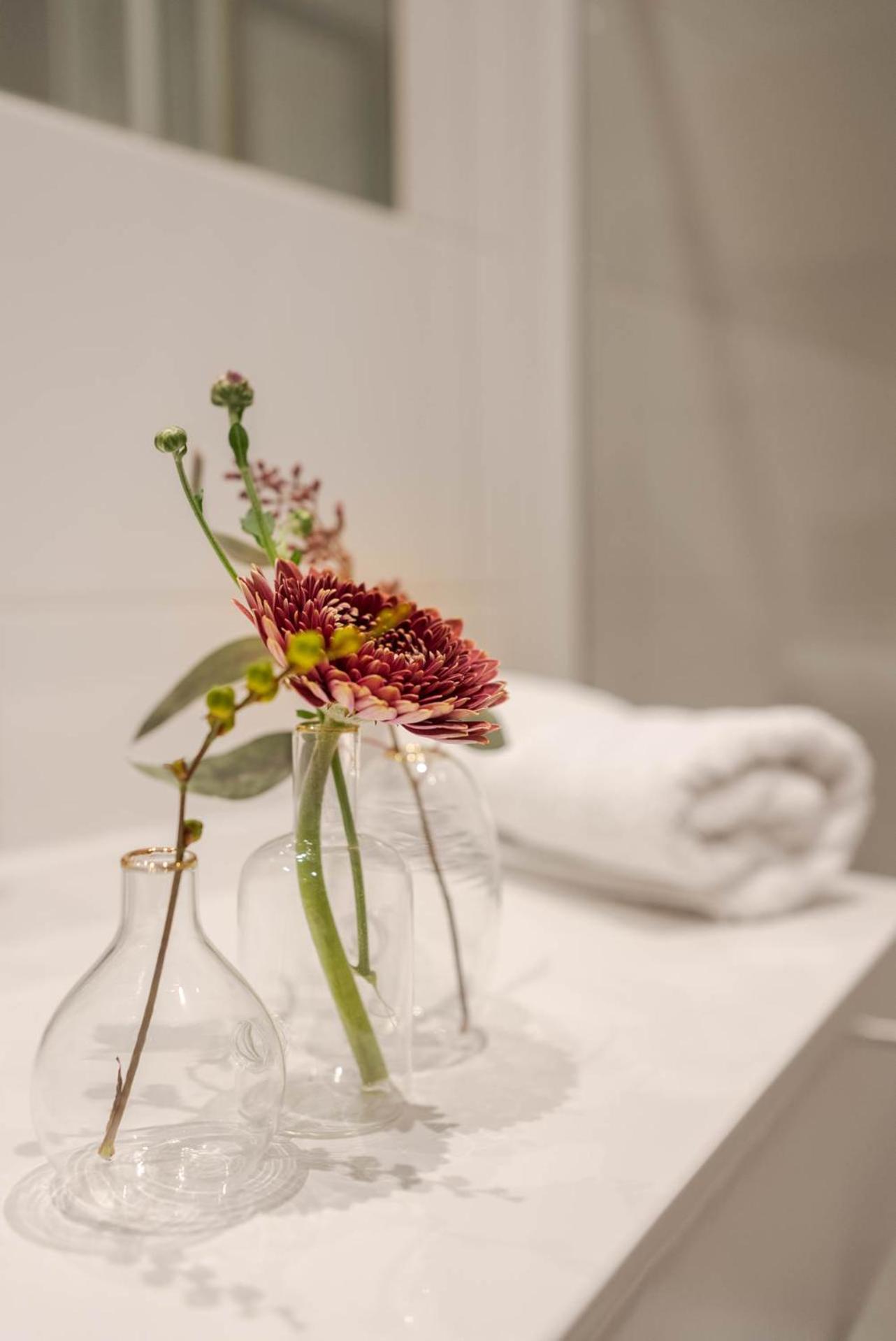 Gradiva Apartments 이스크글 외부 사진